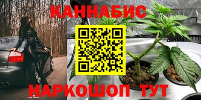 гидра Обь