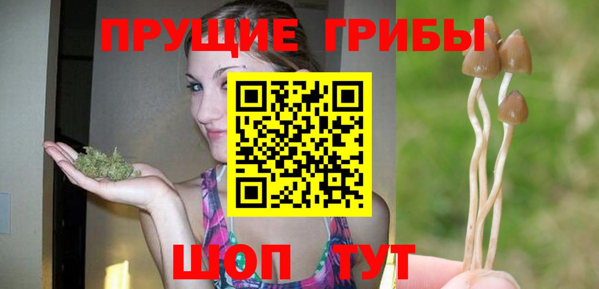 Галлюциногенные грибы ЛСД Сарапул